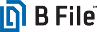 bfile-logo (3)